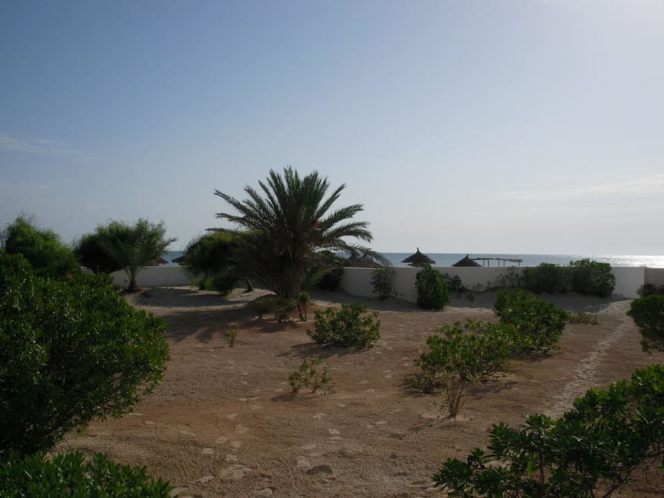 Gartenanlage im Yati Beach Calimera Yati Beach
