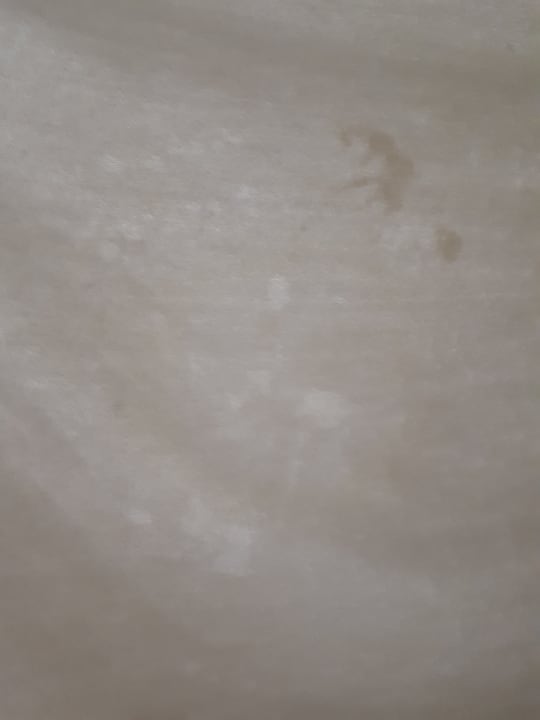 Zimmer Hotel Best Delta