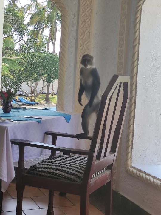 Gastro Hotel Diani Sea Lodge