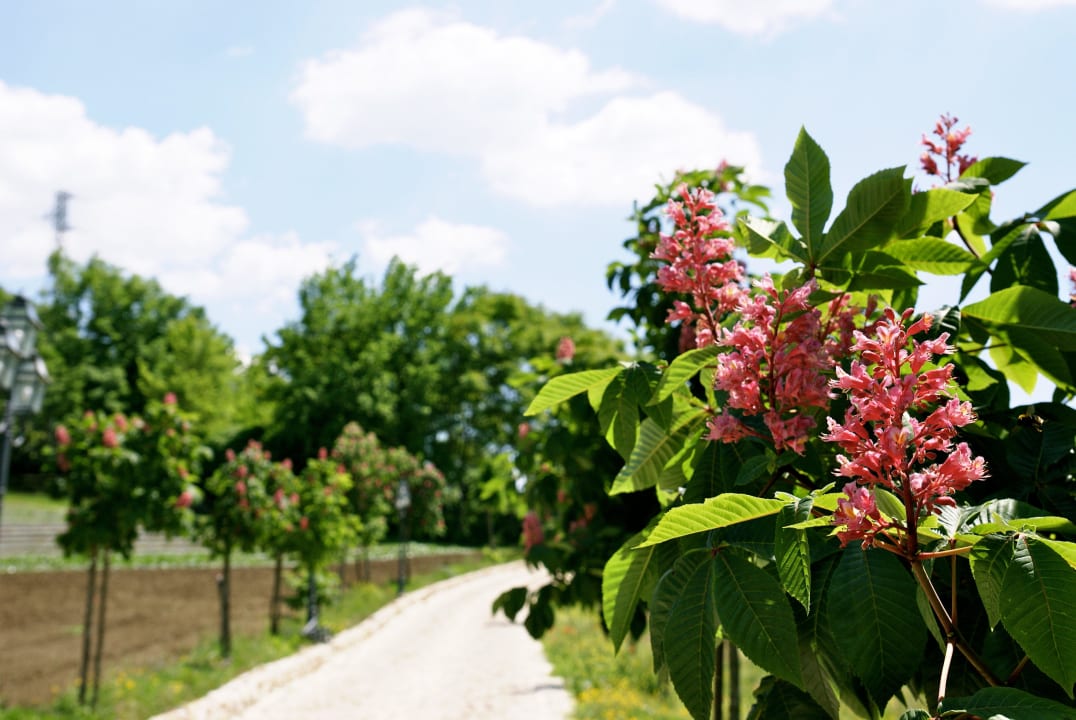 La Pampa  La Pampa Relais