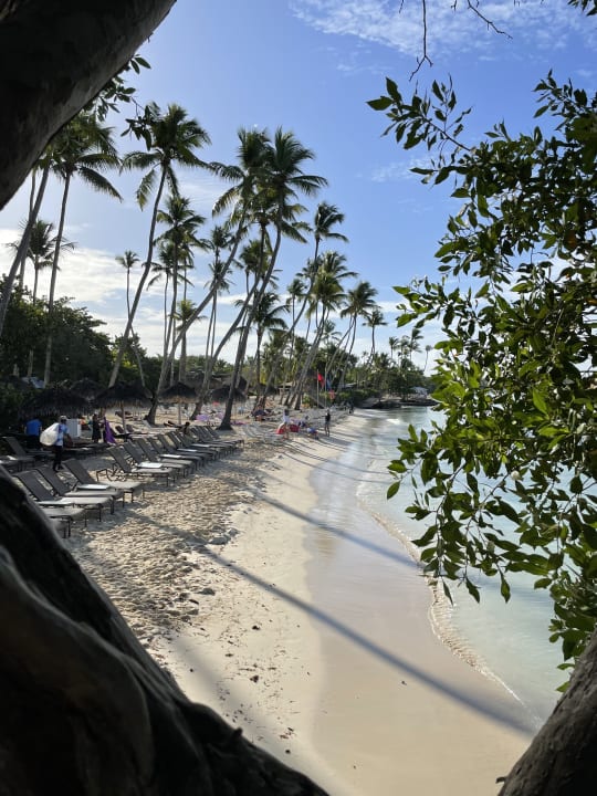 "Strand" Hilton La Romana, An All-Inclusive Family Resort (Bayahibe ...