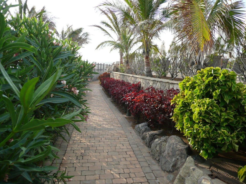 Teil der Gartenanlage Lopesan Villa del Conde Resort & Thalasso
