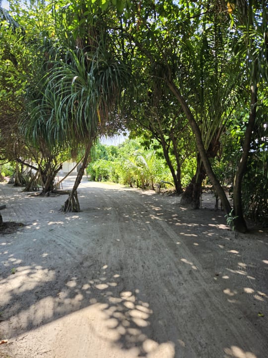 Gartenanlage Adaaran Select Meedhupparu Island Resort - Premium All Inclusive