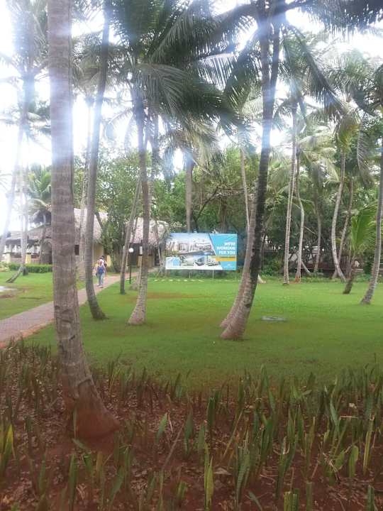 Wir bauen für Sie. Wyndham Alltra Samana