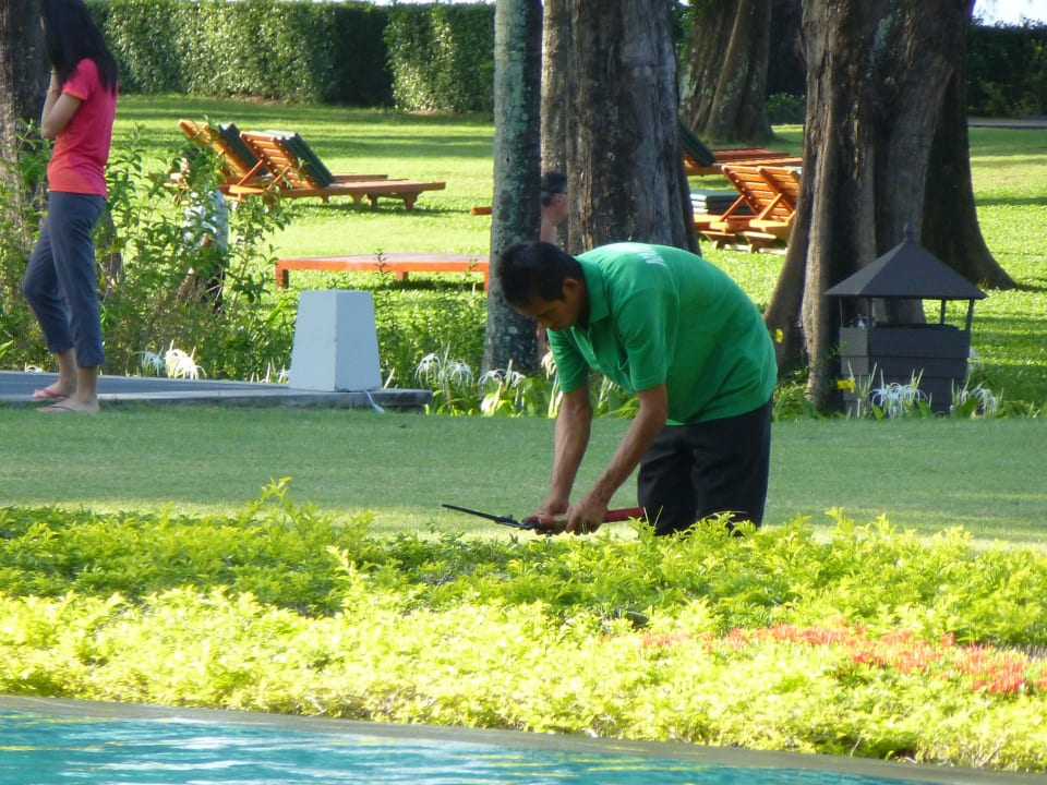 Einer von vielen Dusit Thani Krabi Beach Resort