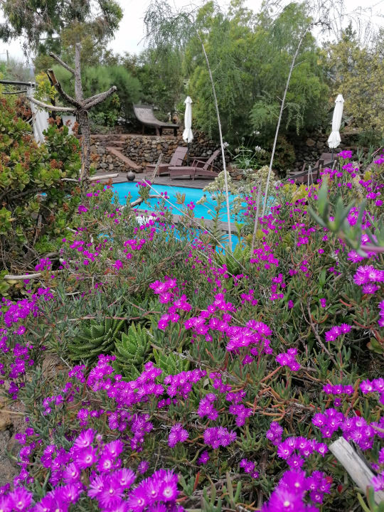 Pool Hacienda La Centenaria