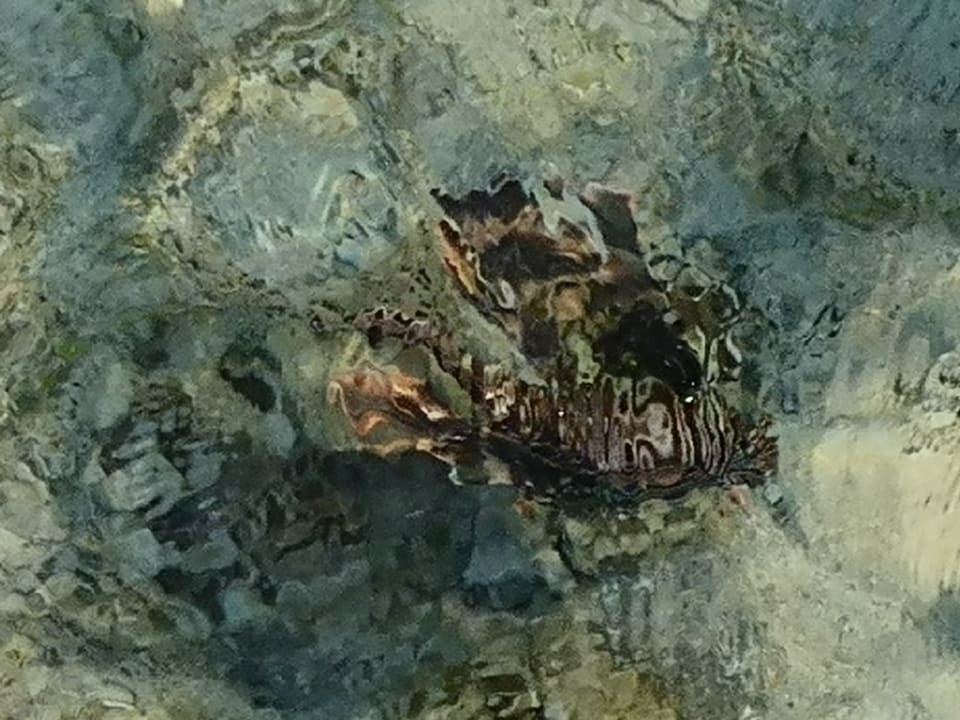 Strand Casa Mare Resort