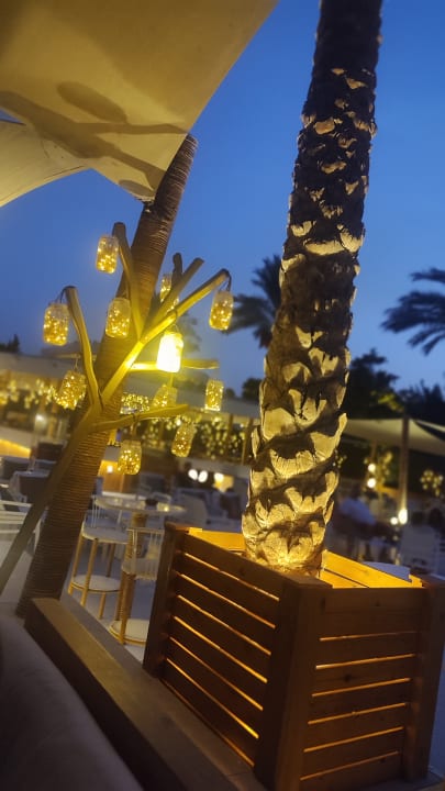 Sonstiges Desert Rose