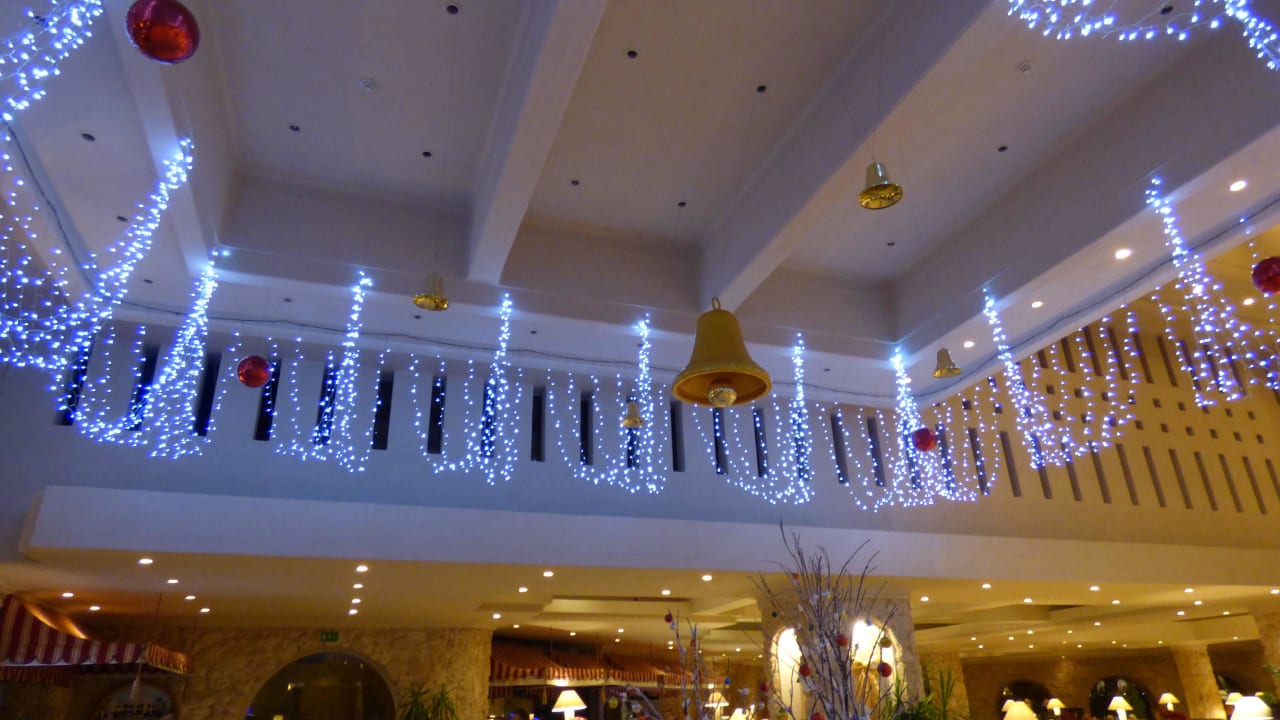 Kurz vor Weihnachten Pickalbatros Citadel Resort