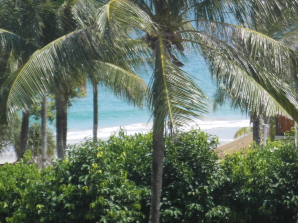 Gartenanlage Hotel Angsana Bintan