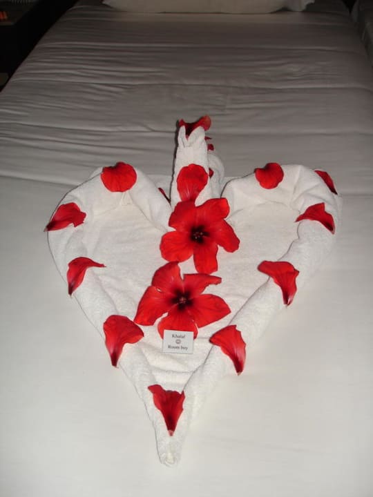 Deco Jaz Dar EL Madina