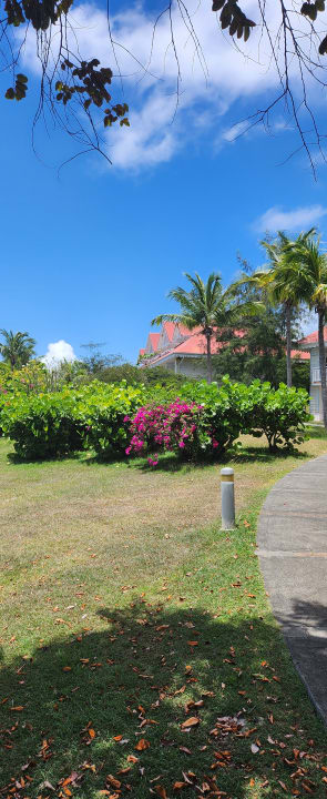 Gartenanlage Pierre & Vacances Resort Sainte-Anne