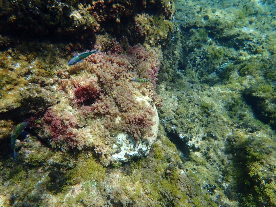 Strand H10 Timanfaya Palace - Adults only