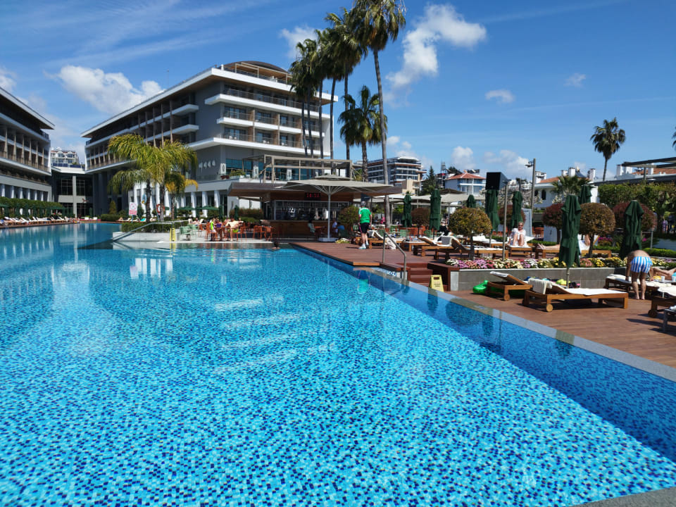 Pool Acanthus Cennet Barut Collection