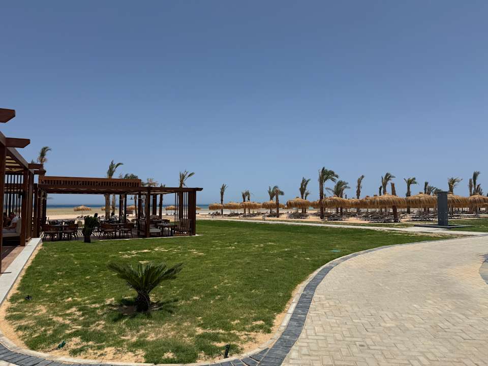 Strand JAZ Elite Asteria