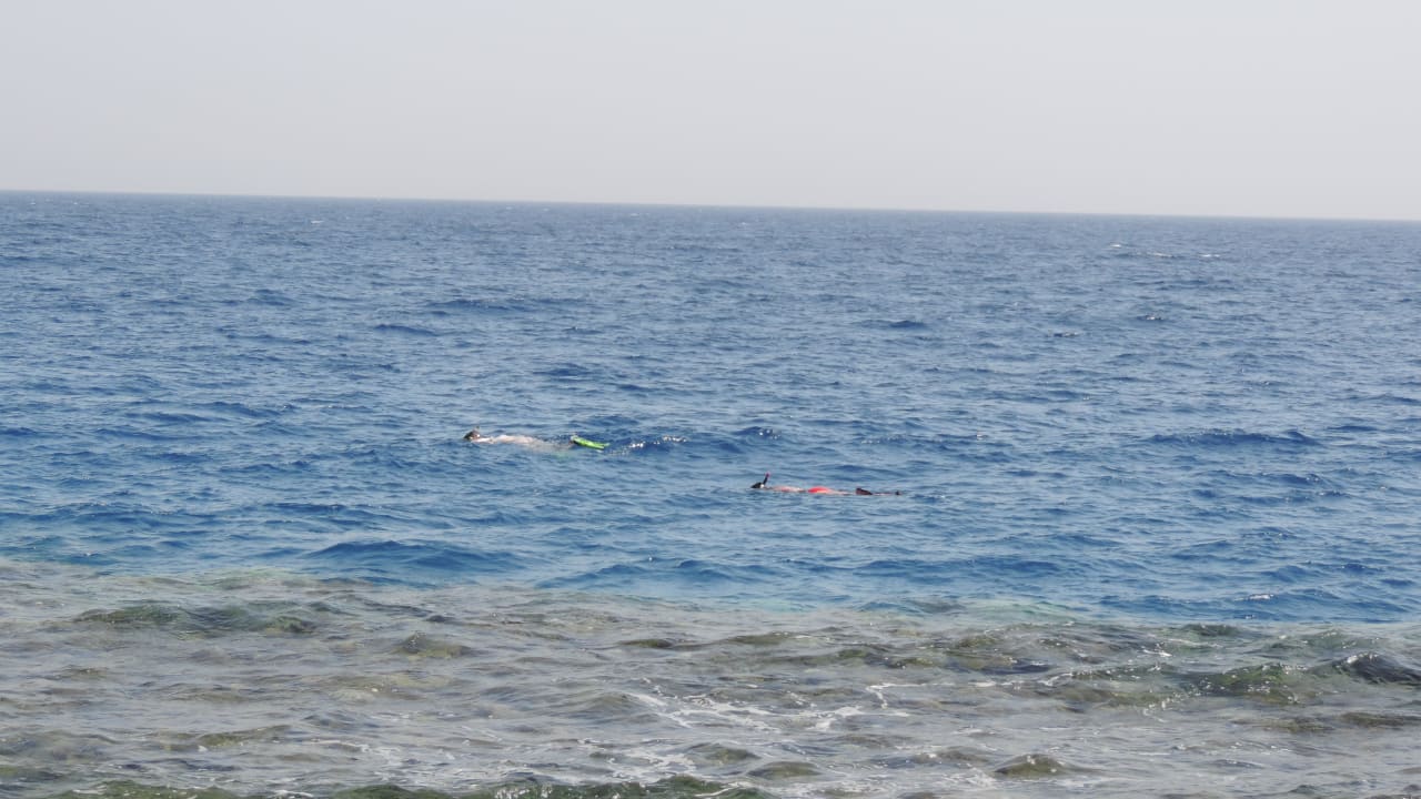 Schnorchler am Aussenriff Pickalbatros Citadel Resort