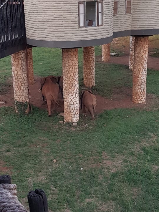 Außenansicht Salt Lick Safari Lodge