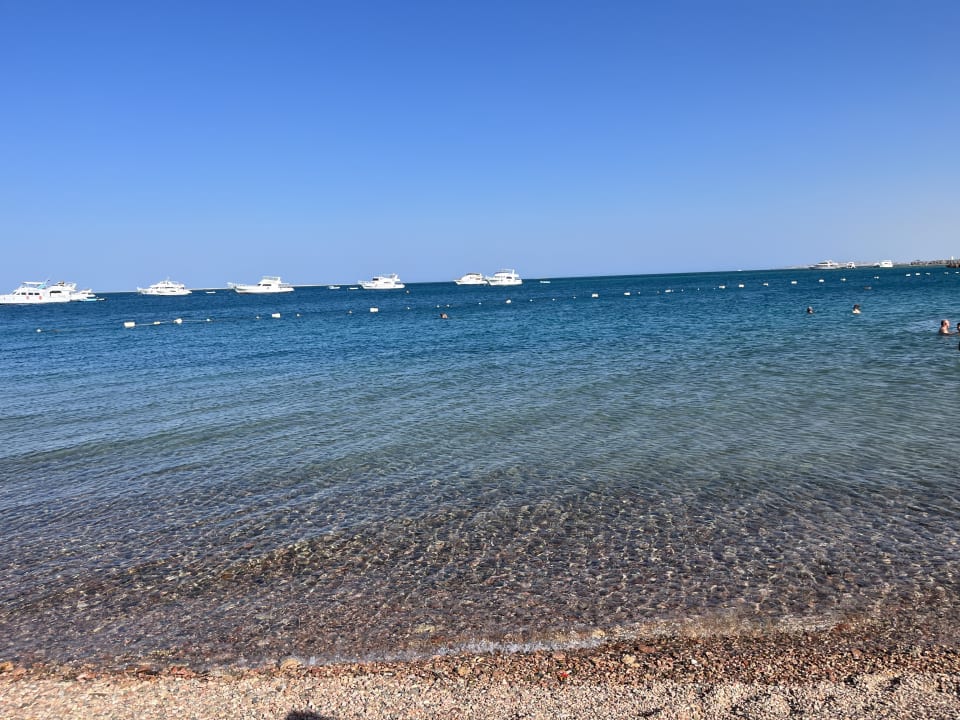 Strand The Grand Palace - Adults only