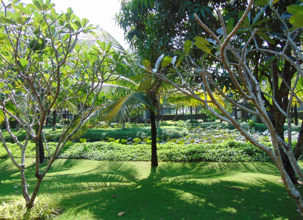 Gartenanlage Novotel Phu Quoc Resort