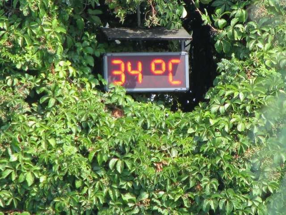 Temperatur Ali Bey Club