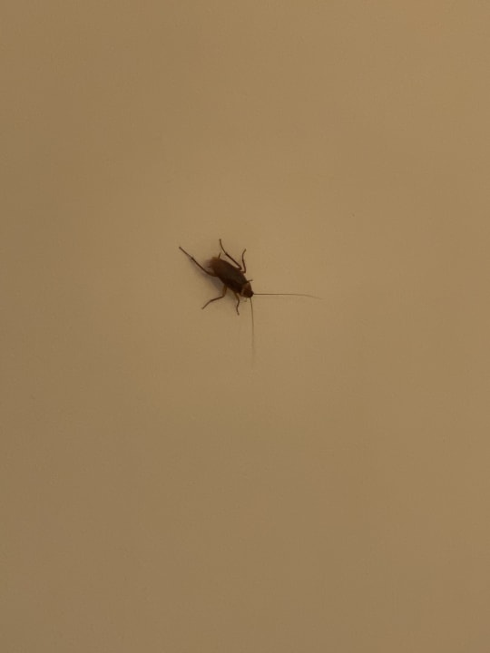 Zimmer Cinnamon Dhonveli Maldives