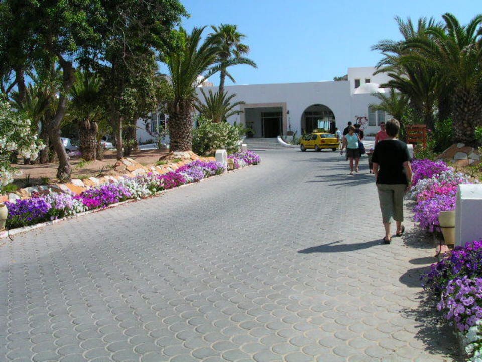 Hotel Zufahrt Hotel Meninx Djerba