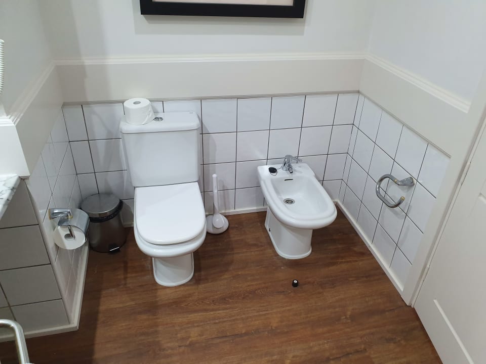 Zimmer H10 Rubicón Horizons Collection