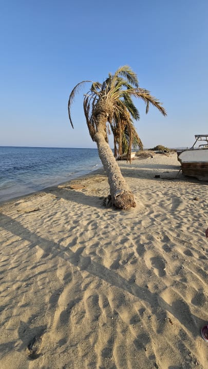 Strand Shams Alam Beach Resort