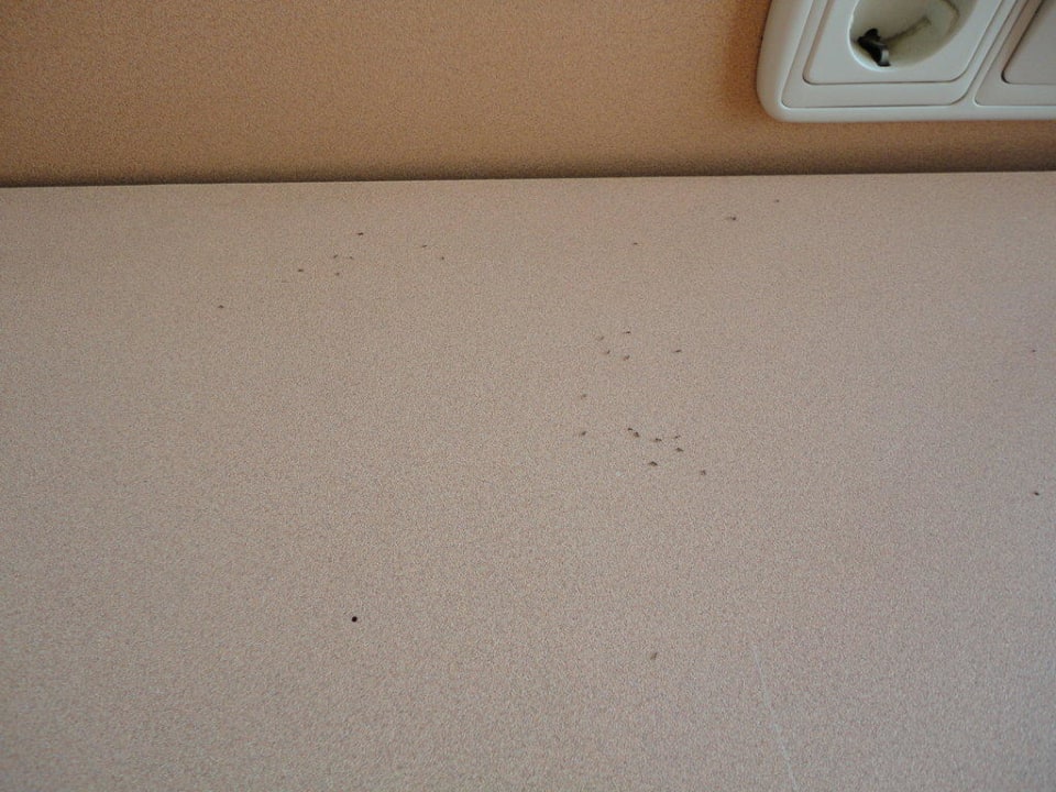 Ameisen Kaila Beach Hotel