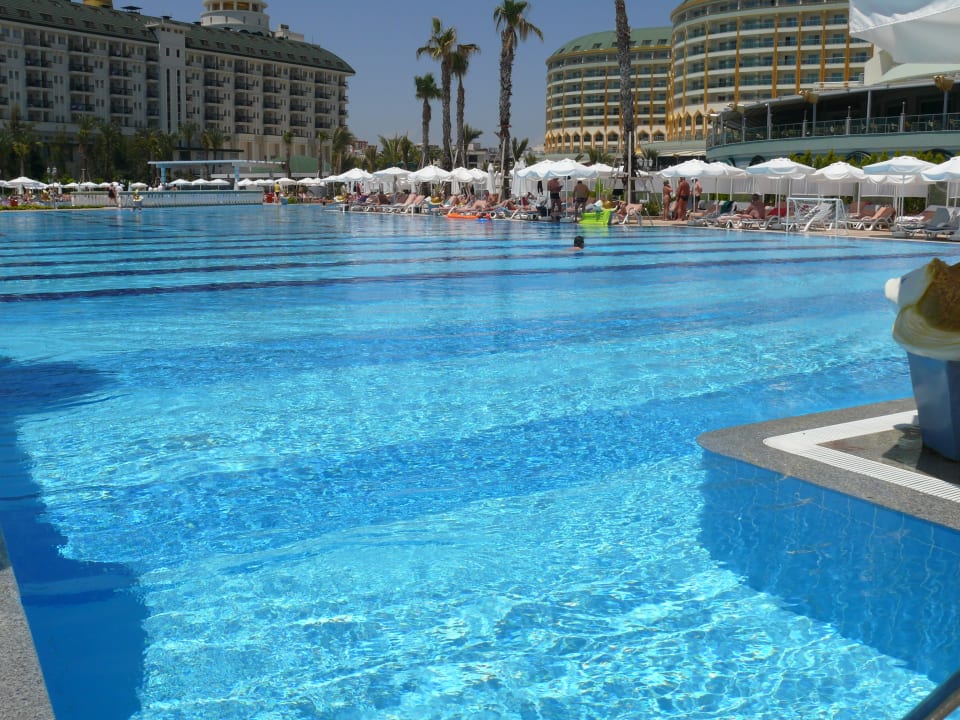 Pool Hotel Delphin Imperial