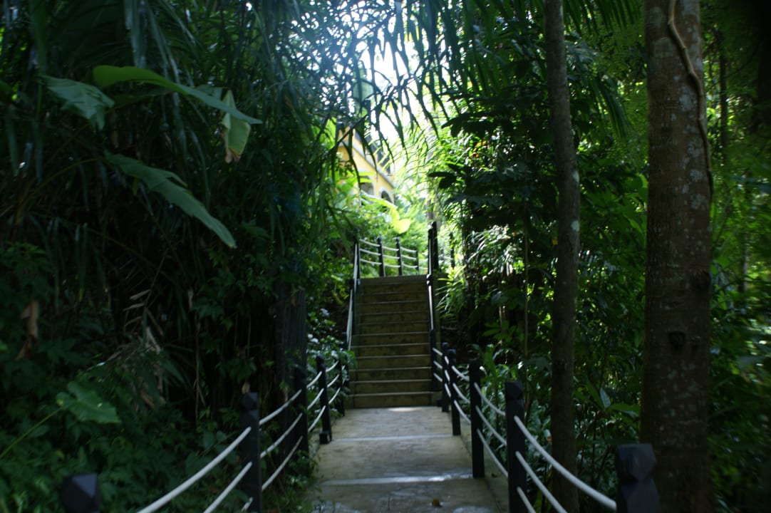 Weg zur Lobby Moracea by Khao Lak Resort