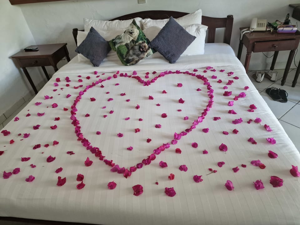 Zimmer Diani Sea Resort