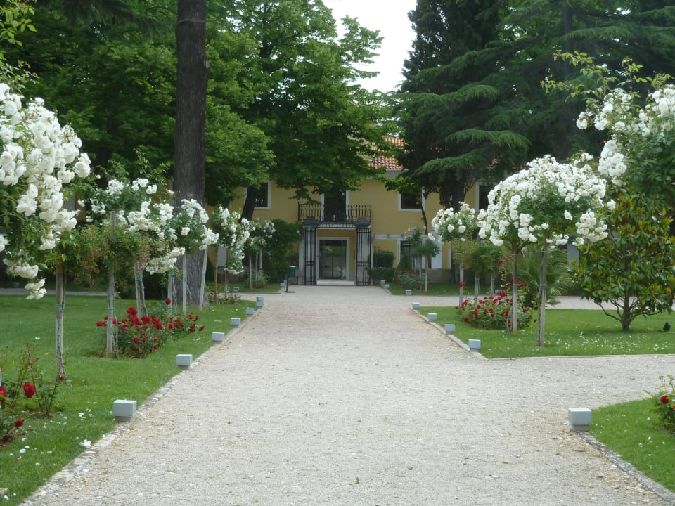 Vom Meer her fotografiert Falkensteiner Hotel Adriana