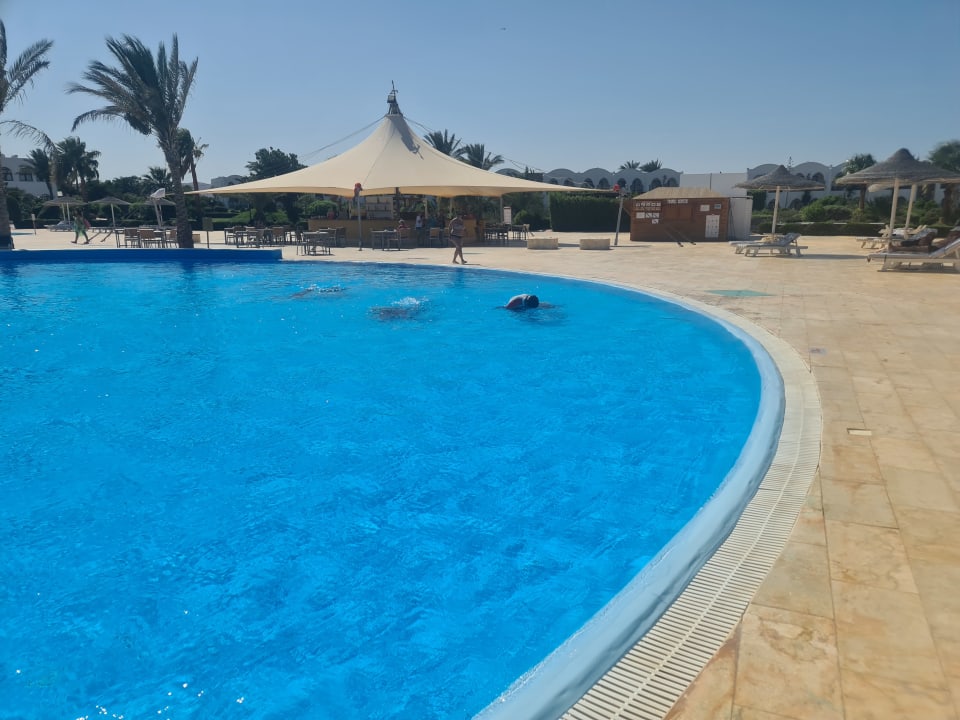 Pool Hotel Gorgonia Beach Resort