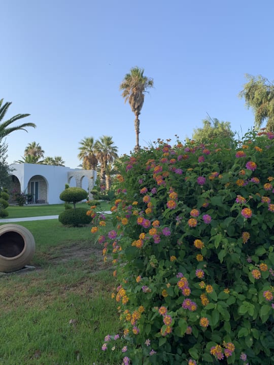 Außenansicht Smy Kos Beach & Splash