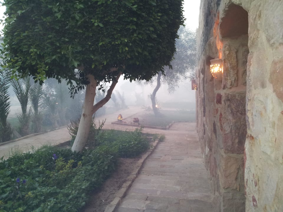 Gift oder Mücken oder beides Utopia Beach Club