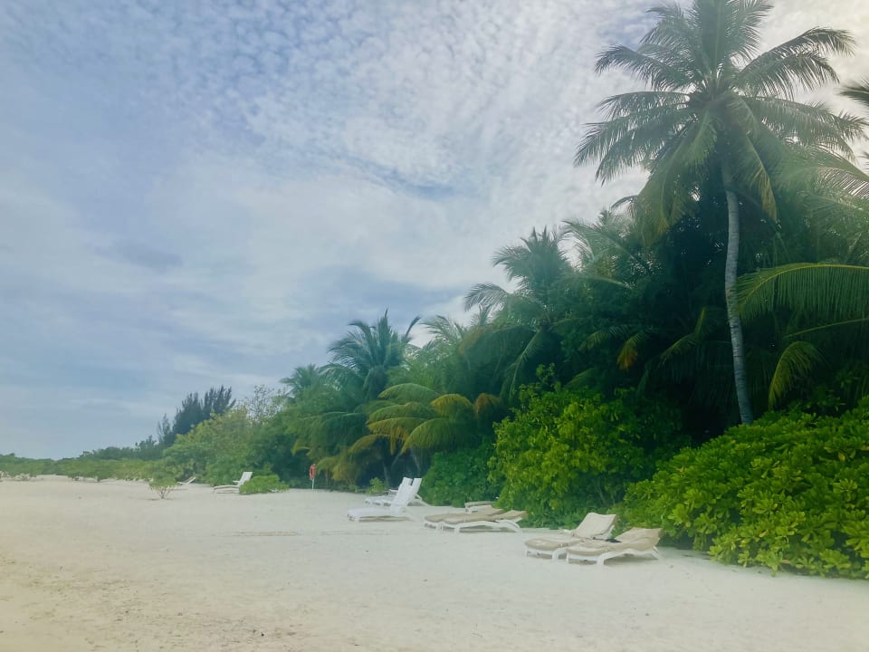 Strand Summer Island Maldives