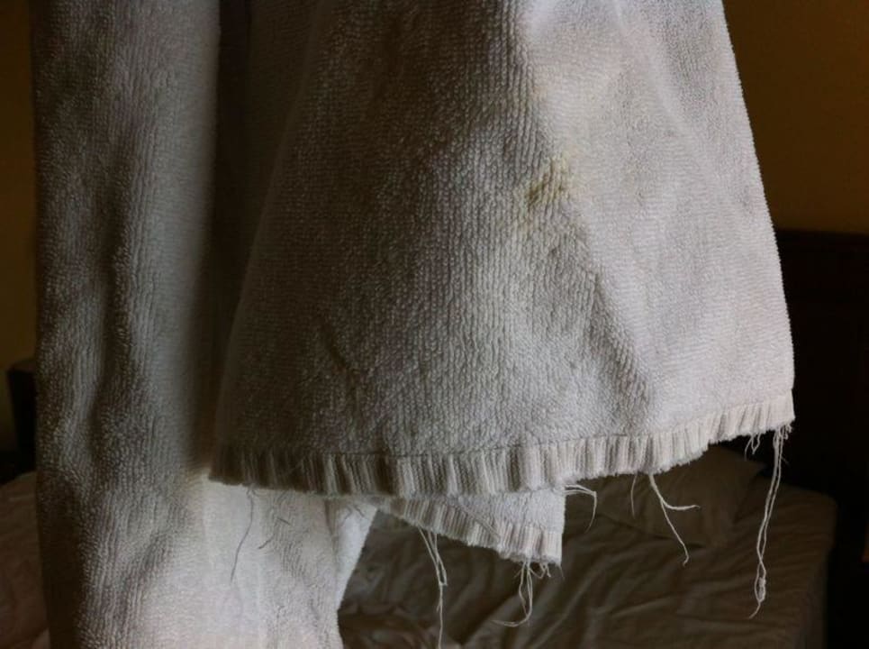 Noch das Sauberste. Jaz Solaya