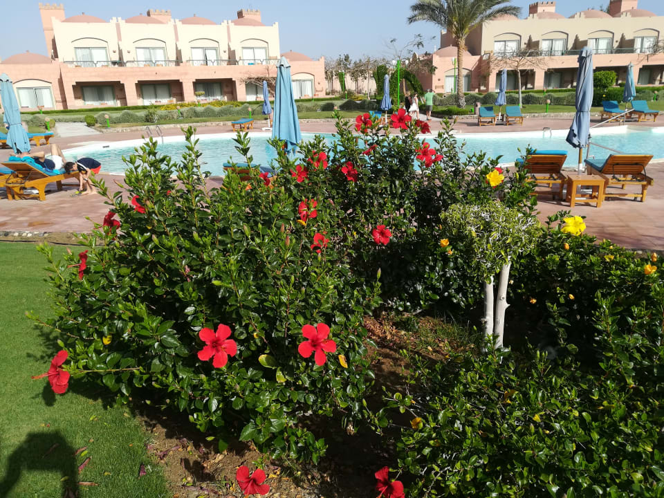 Gartenanlage Sentido Akassia Beach
