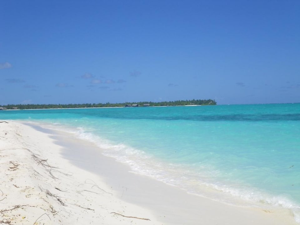 Plaża przy barze Summer Island Maldives