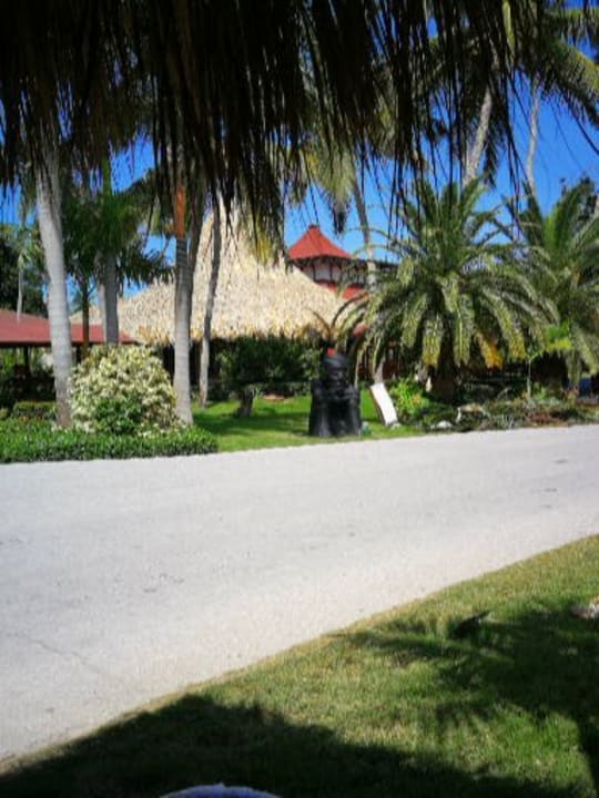 Gartenanlage Grand Palladium Punta Cana Resort & Spa