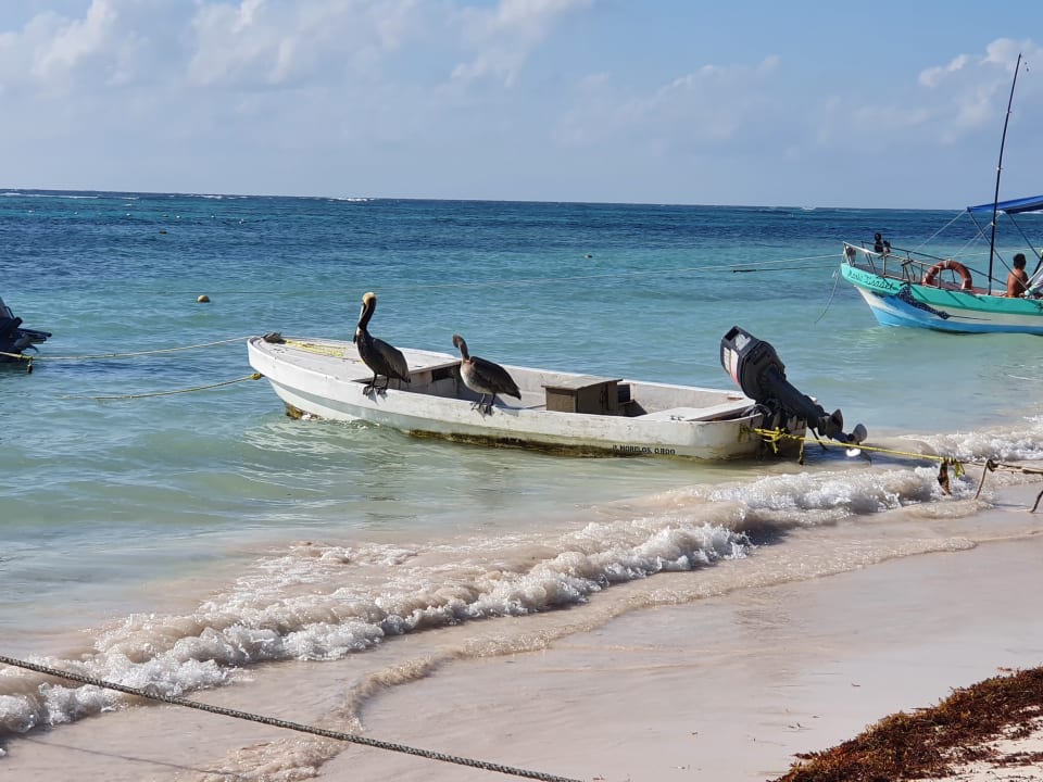 Strand Akumal Bay Beach & Wellness Resort