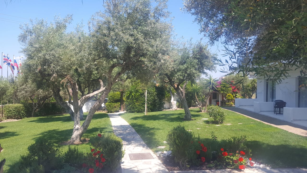 Garten  Hotel Flegra Palace