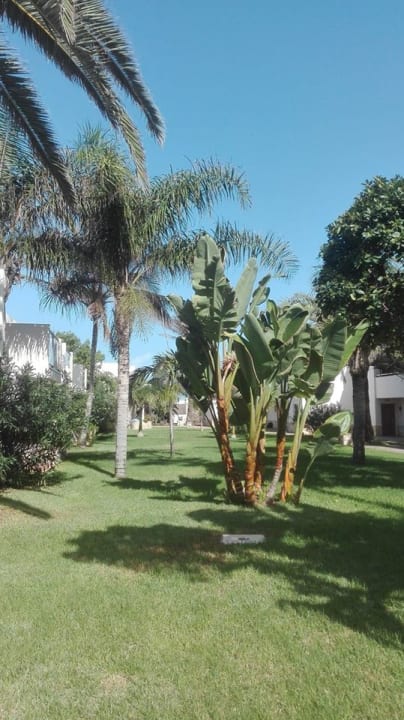 Gartenanlage Alua Suites Fuerteventura