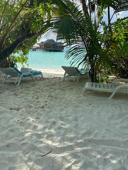 Strand Fihalhohi Maldives