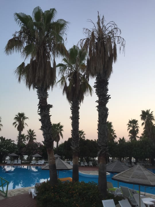 Pool Hotel Defne Star