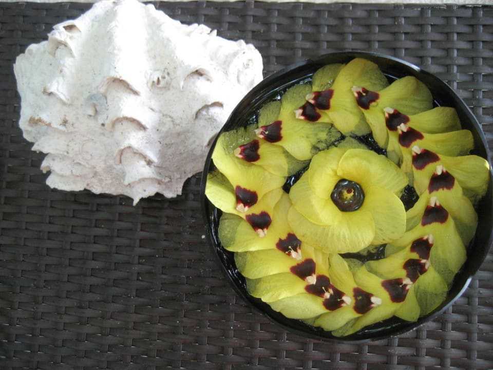 Coconut Spa Adaaran Club Rannalhi - All Inclusive