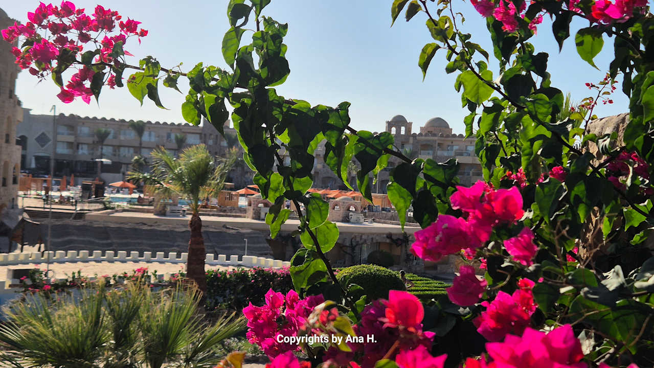 Außenansicht Utopia Beach Club