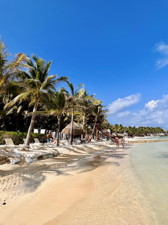 Strand TUI BLUE El Dorado Seaside Suites