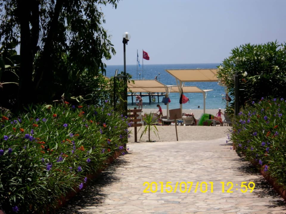 Weg zum Strand Club Turtas Beach Hotel
